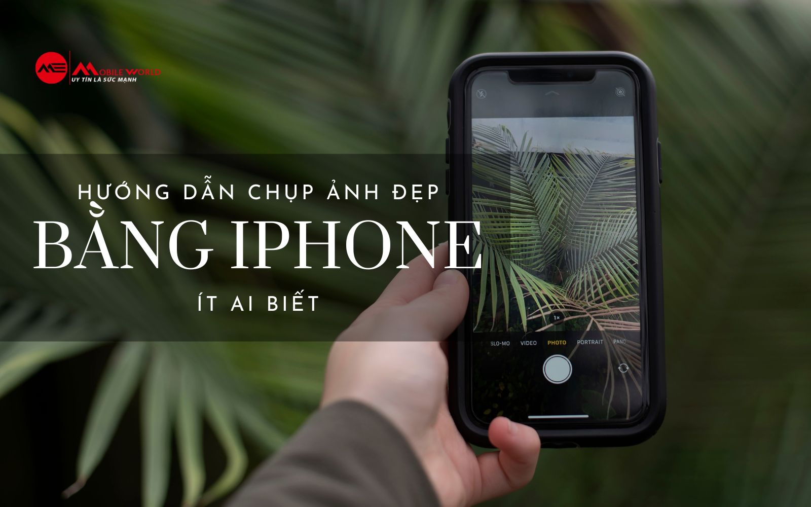 Hướng Dẫn Chụp Ảnh Đẹp Bằng iPhone Ít Ai Biết