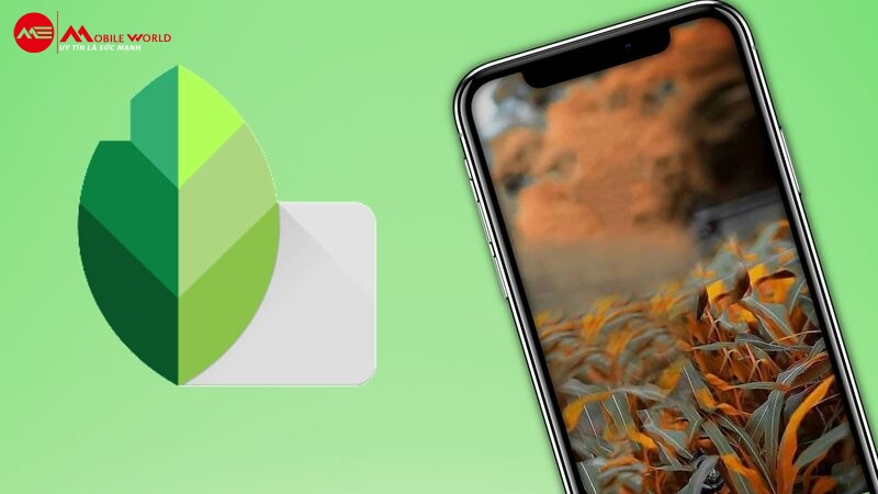 Snapseed hỗ trợ chỉnh sửa vóc dáng cho chị em phụ nữ