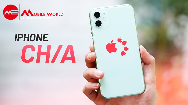 Cẩn thận khi mua: iPhone 11 Trung Quốc ồ ạt vào Việt Nam