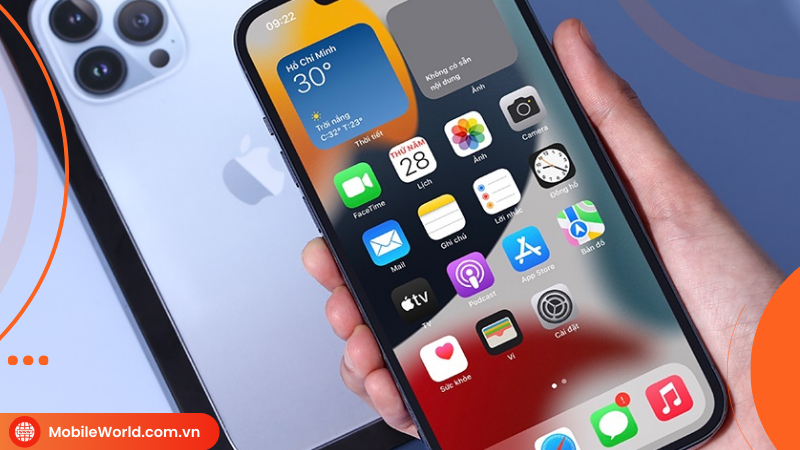 huong-dan-cach-test-iphone-13-pro-max-cu-ban-nhat-dinh-phai-xem-truoc-khi-mua-2024-2