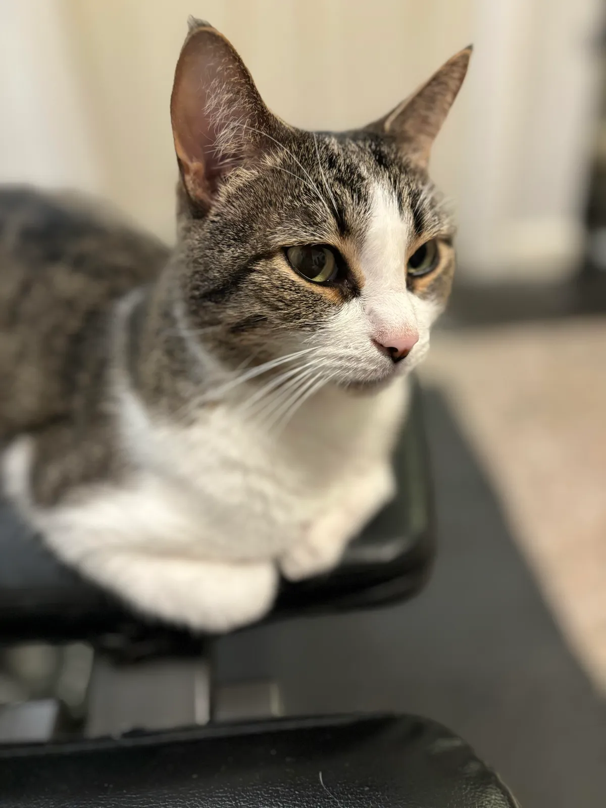 test-camera-iphone-15-danh-gia-chat-luong-chup-anh-thuc-te-4