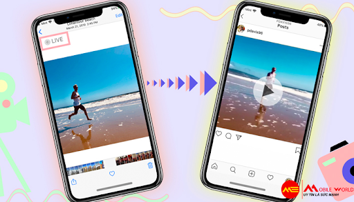 8 ph&iacute;m tắt iPhone 11 gi&uacute;p bạn trải nghiệm Instagram tốt hơn