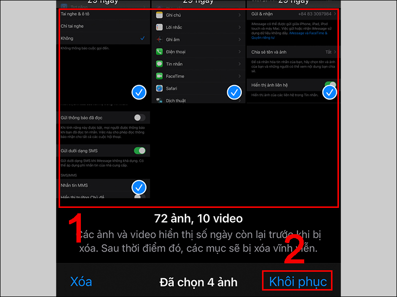 Chọn khôi phục