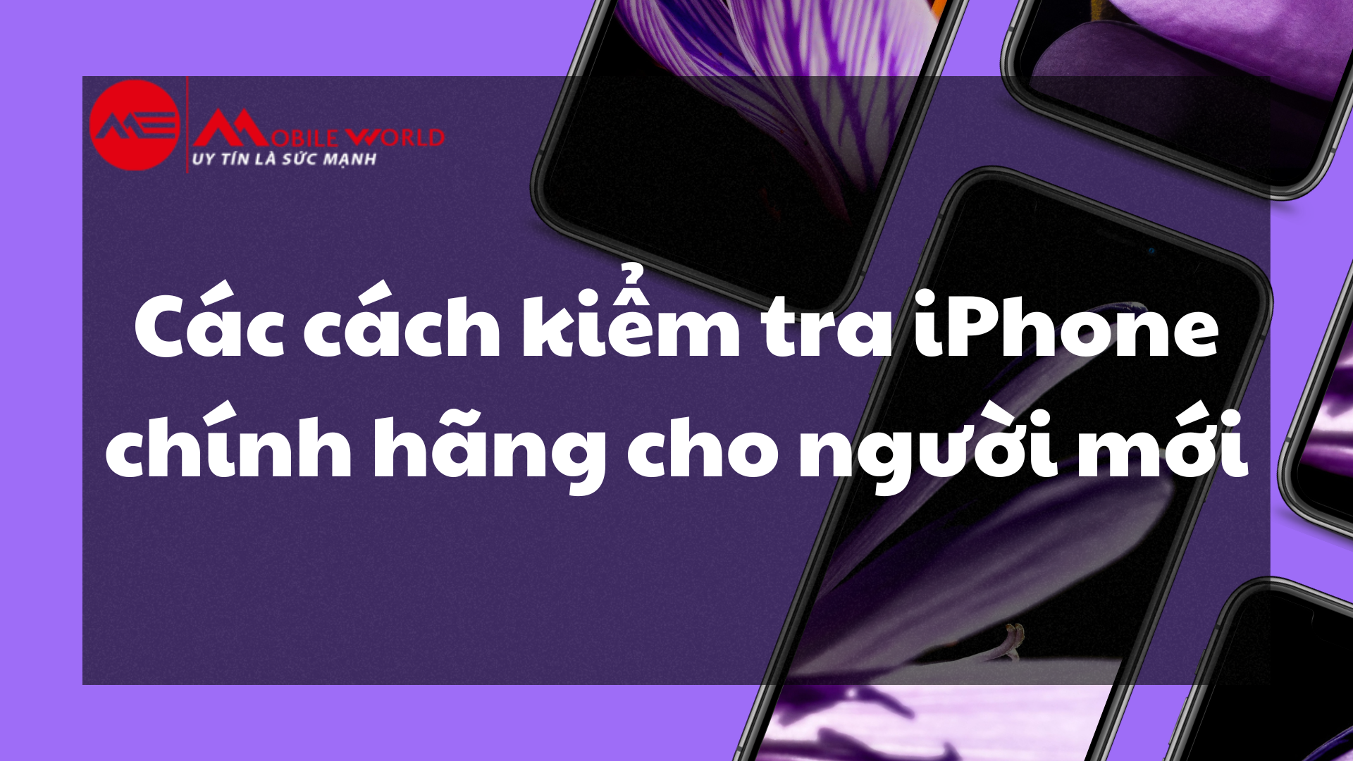 Các cách kiểm tra iPhone chính hãng cho người mới