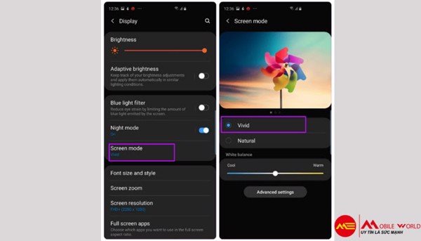 10 Tips sử dụng Samsung Galaxy S10e hiệu quả vượt mong đợi