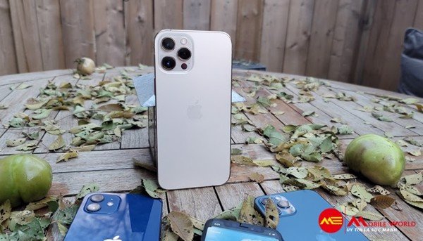 Mẹo tận dụng tối đa 3 camera trên iPhone 12 Pro, 12 Pro Max