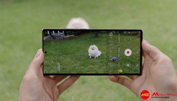 Quay Youtube/Tiktok chọn Galaxy Note 20 Ultra hay iPhone 12