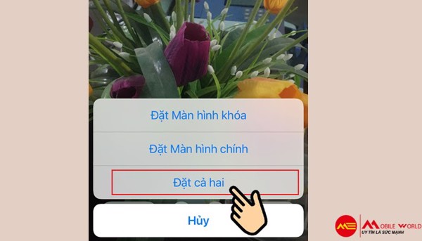 Mẹo chụp ảnh Live Photo trên iPhone 11 & iPhone 11 Pro Max