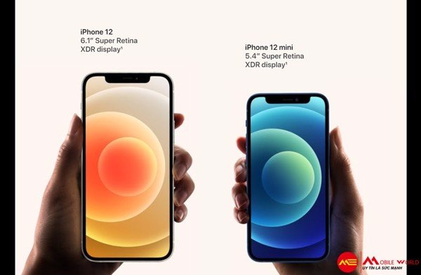 So sánh iPhone 12 với iPhone 11, nên chọn phiên bản nào?