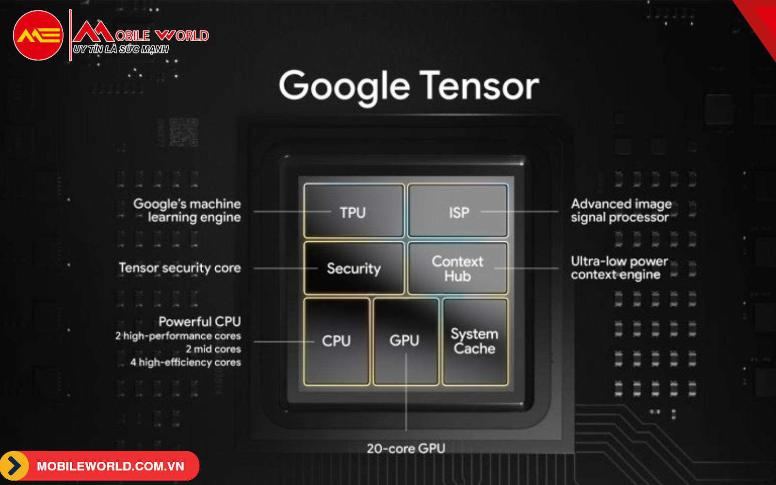 chip-google-tensor-la-gi-danh-gia-suc-manh-voi-snapdragon-03-mobileworld-com-vn