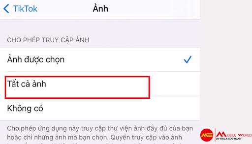 C&aacute;c lỗi đăng video tr&ecirc;n tiktok v&agrave; c&aacute;ch khắc phục nhanh
