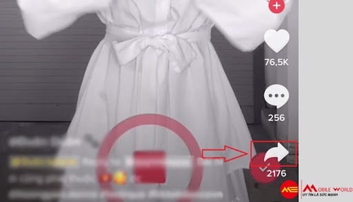 Cách tải video tiktok không logo cho ios và android