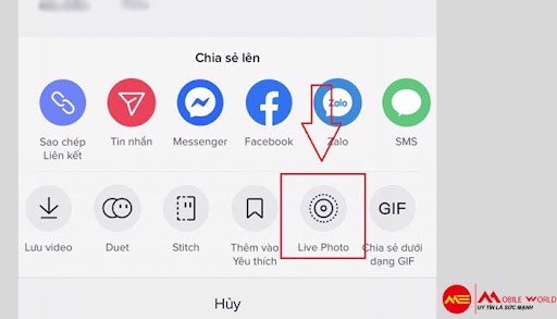 Cách tải video tiktok không logo cho ios và android