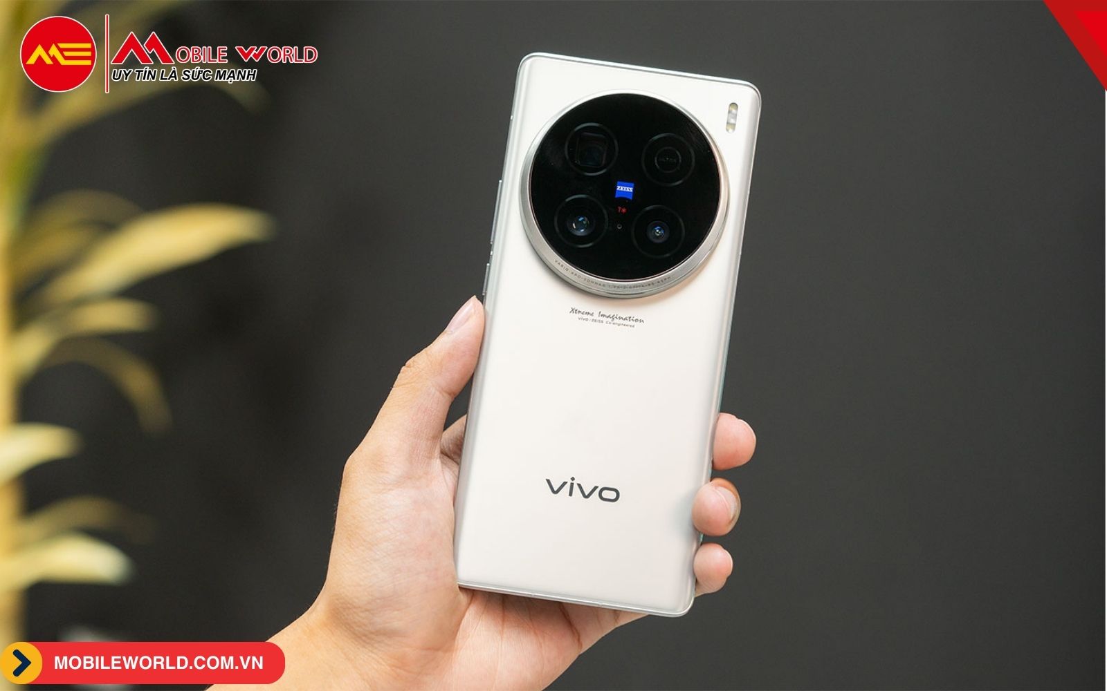 top-10-dien-thoai-camera-tron-chup-dep-dang-so-huu-06-mobileworld-com-vn