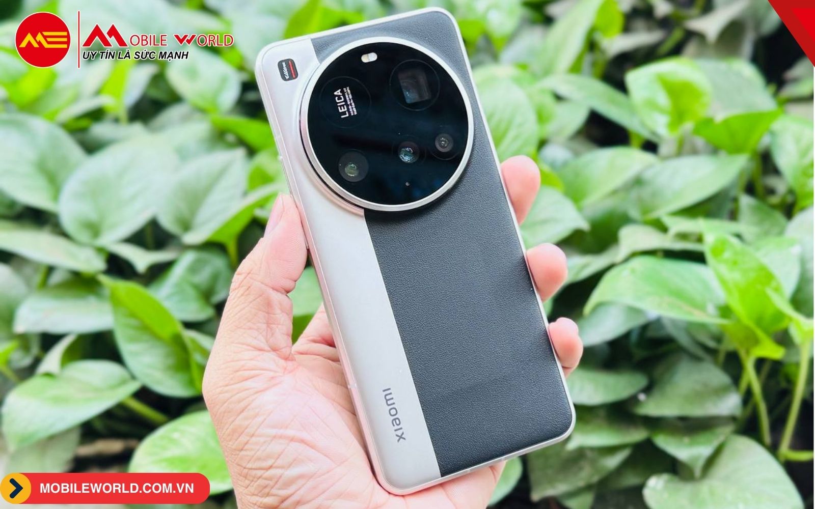 top-10-dien-thoai-camera-tron-chup-dep-dang-so-huu-09-mobileworld-com-vn