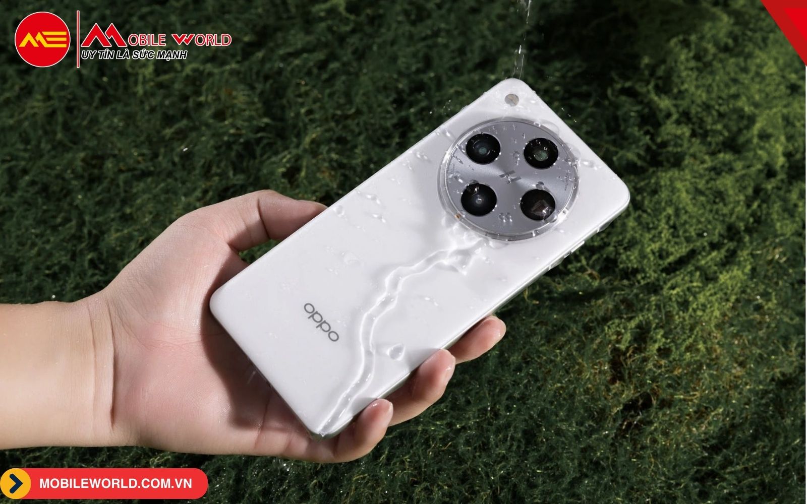 top-10-dien-thoai-camera-tron-chup-dep-dang-so-huu-10-mobileworld-com-vn