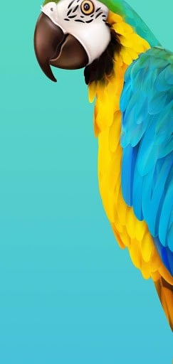 20 Hình nền tuyệt đẹp dành riêng cho Galaxy Note 10 Plus