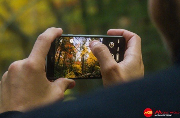 Đ&aacute;nh gi&aacute; cấu h&igrave;nh của Google Pixel 5, Google Pixel 5 5G
