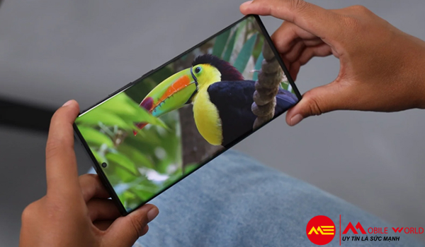 Địa điểm bán Samsung Galaxy Note 20 Uy Tín, Giá rẻ HCM
