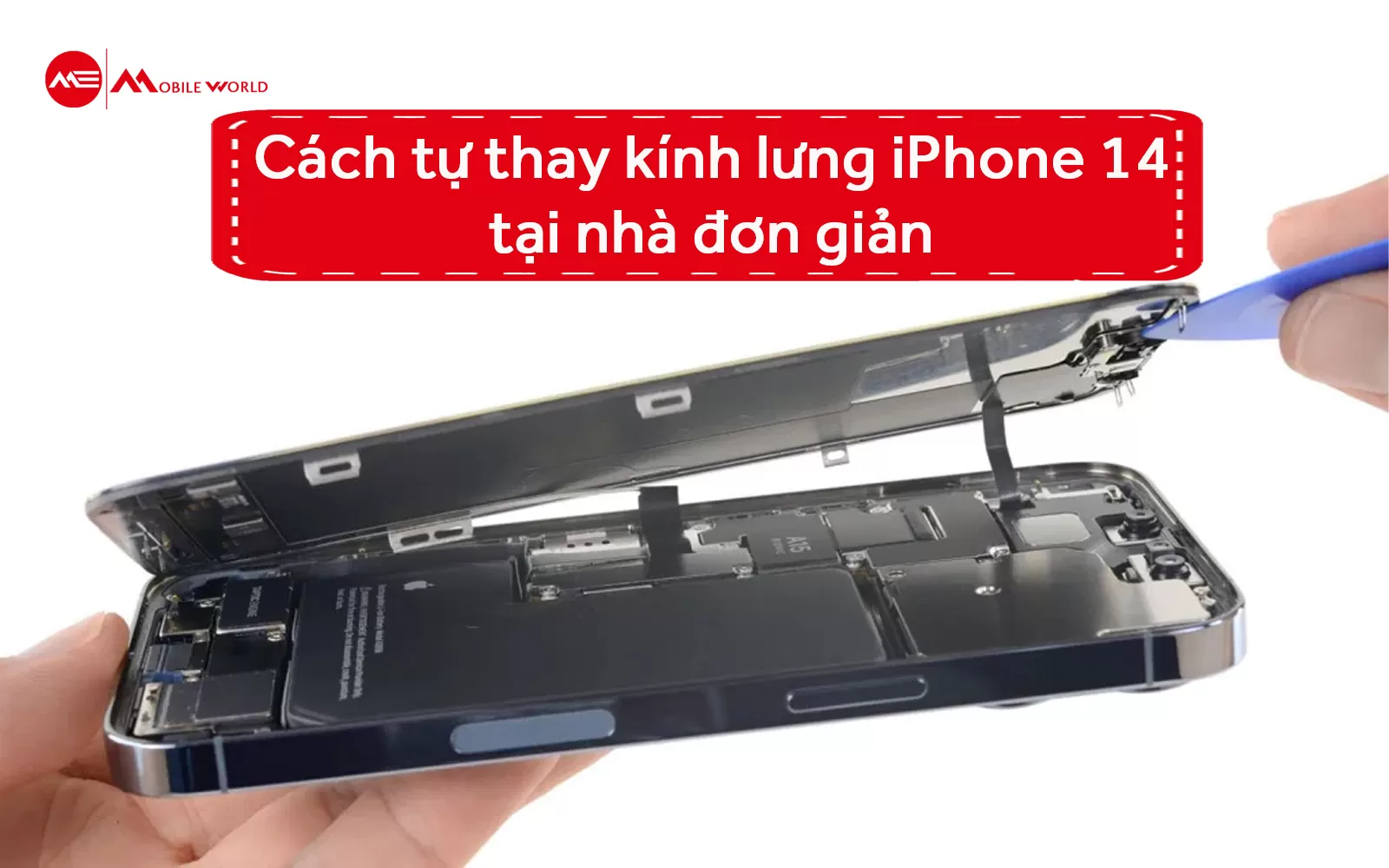 Cách tự thay kính lưng iPhone 14 tại nhà đơn giản